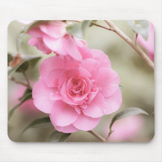Mousepad Camellia Rosa bonito (Frente)