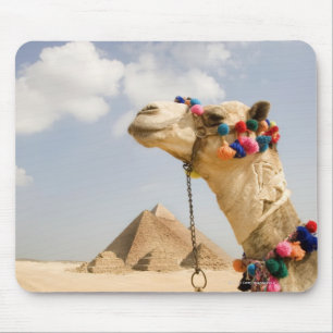 Mousepad Camelo com pirâmides Giza, Egipto