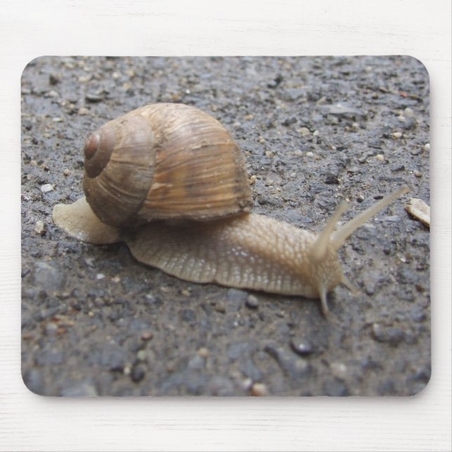 Mousepad caminhada de caracol (Frente)