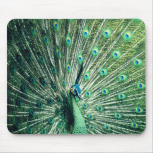 Mousepad Caminhada do pavão