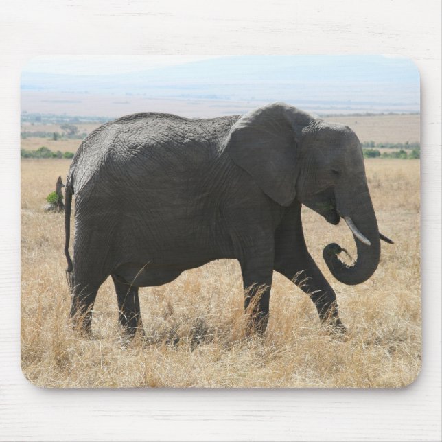 Mousepad caminhada elefante (Frente)