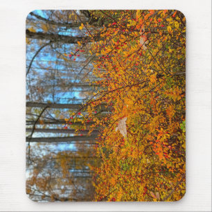 Mousepad Caminhada Vibrante pela Floresta de Outono - Folha