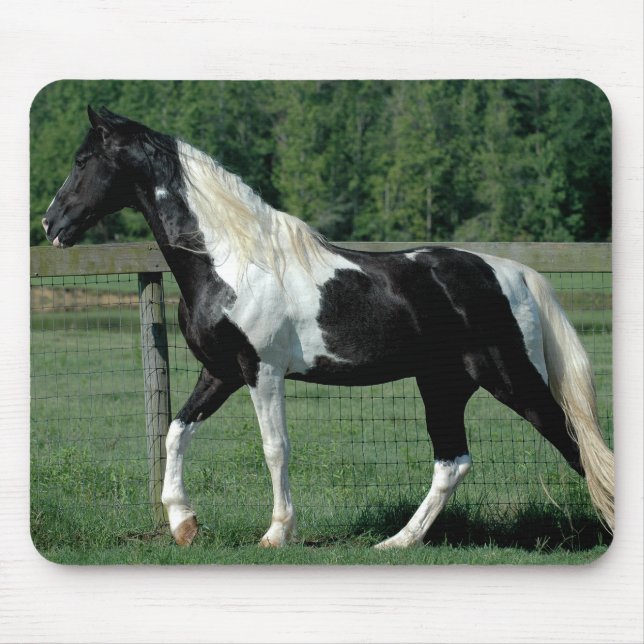 Mousepad Caminhante manchado (Frente)