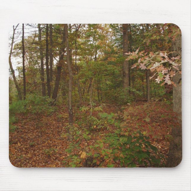 Mousepad Caminhe No Pad Do Mouse Woods (Frente)