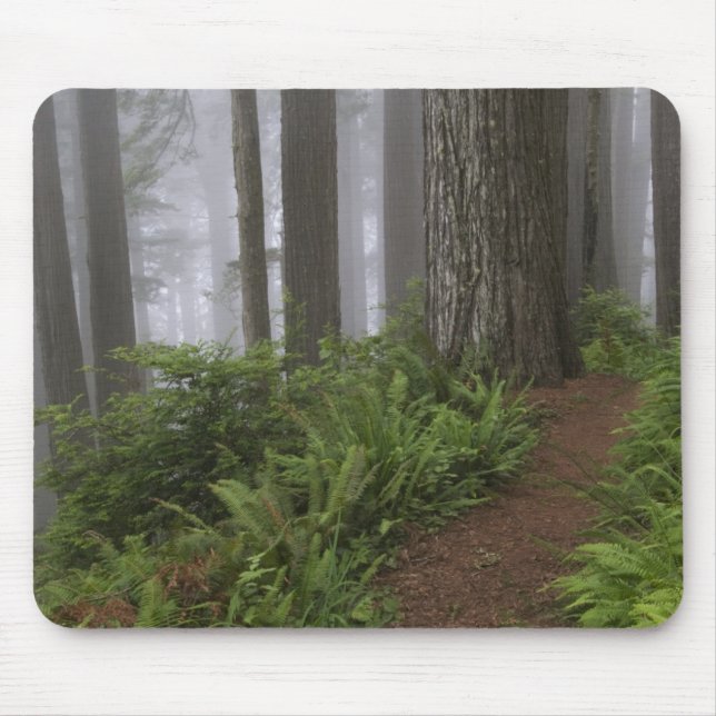 Mousepad Caminho através das árvores sequóias gigantes envo (Frente)