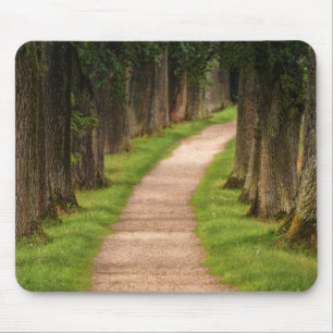 Mousepad Caminho Bonito Através das Árvores