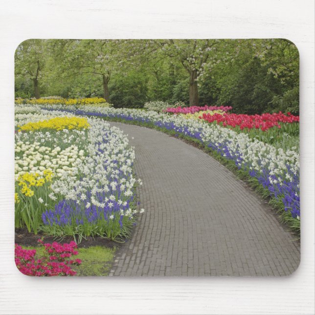Mousepad Caminho de calçada através de tulipas e narcisos,  (Frente)