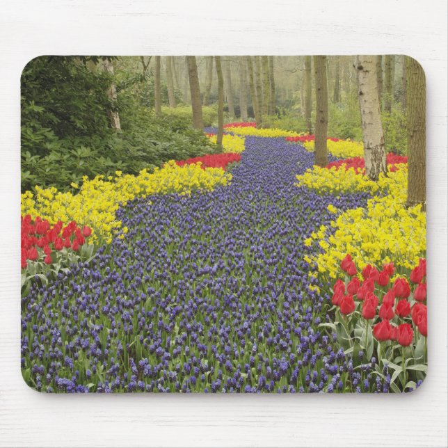 Mousepad Caminho de Jacinto de Uva, narcisos e (Frente)