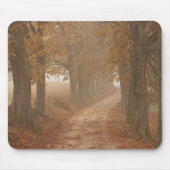 Mousepad Caminho do Woodland Vinculado por Foto das Árvores (Frente)