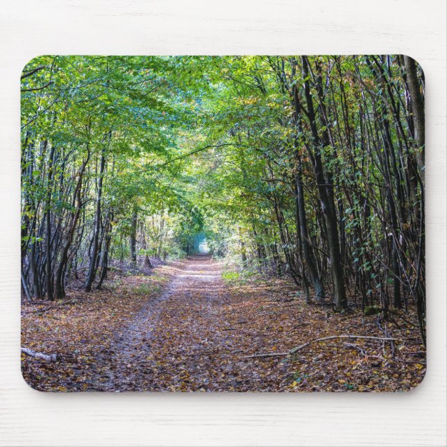 Mousepad Caminho na floresta do outono, Floresta Germain Sa (Frente)