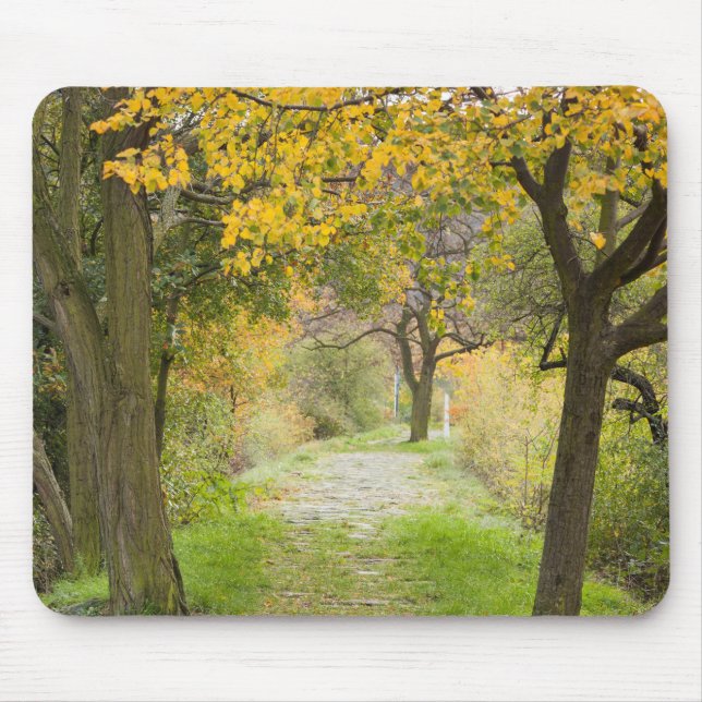 Mousepad Caminho no Outono (Frente)