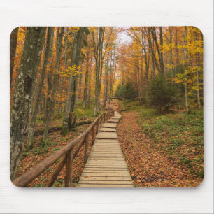 Mousepad Caminho pela floresta do outono.