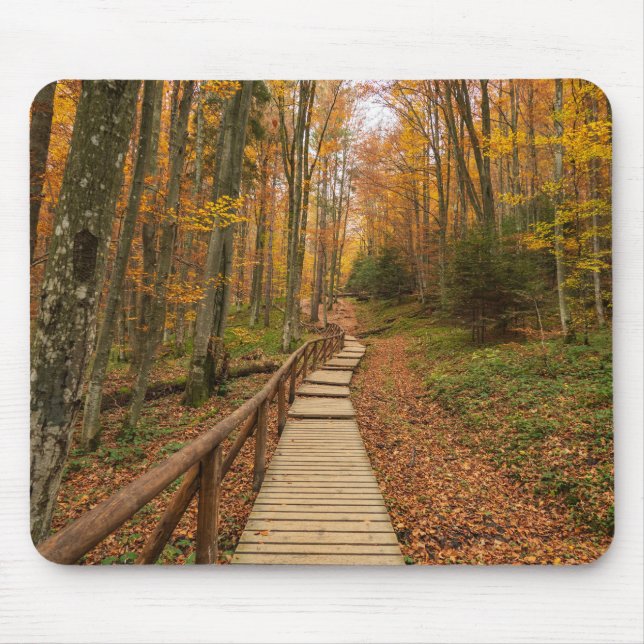 Mousepad Caminho pela floresta do outono. (Frente)