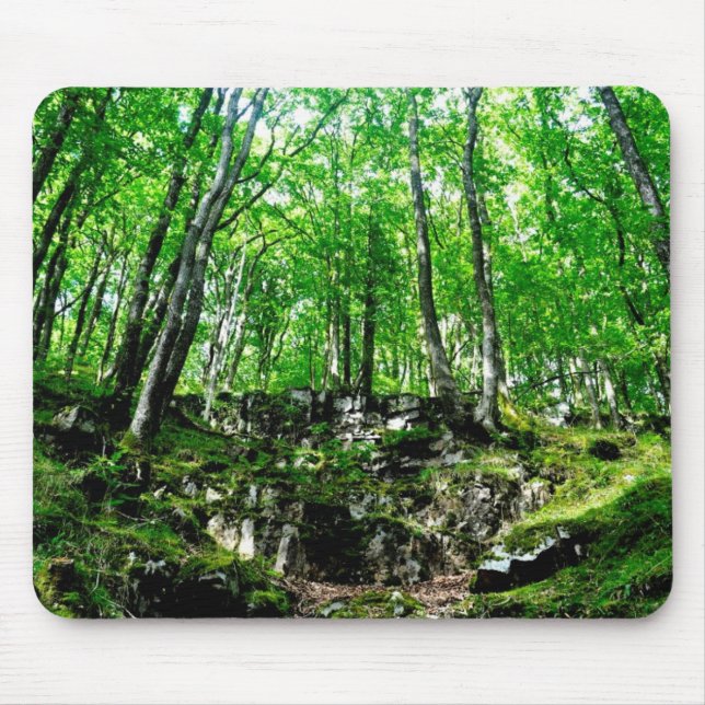 Mousepad Caminhos Florestais a Caminhar no País de Gales Ne (Frente)