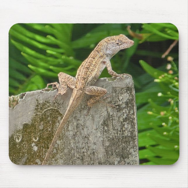 Mousepad Camouflage Master (Frente)