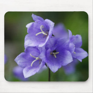 Mousepad Campanula