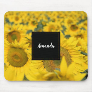 Mousepad Campo Amarelo de Girassóis Fotografia