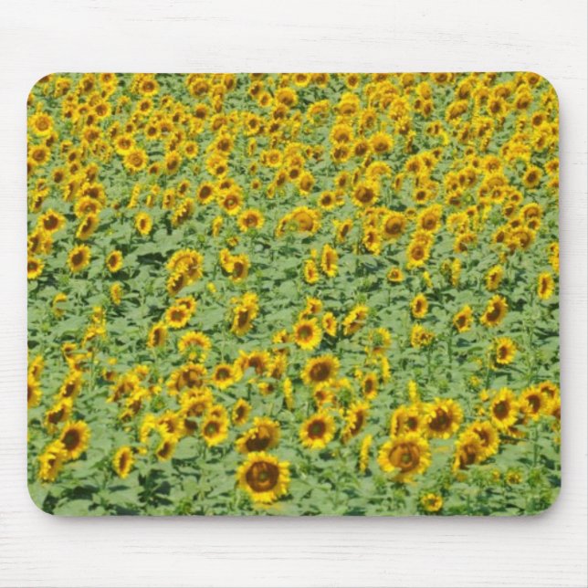 Mousepad Campo amarelo do girassol (Frente)