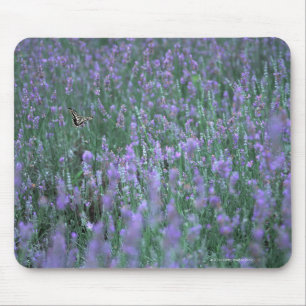 Mousepad Campo da lavanda