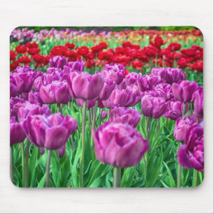 Mousepad Campo da tulipa