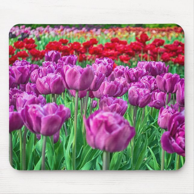 Mousepad Campo da tulipa (Frente)