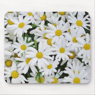 Mousepad Campo das margaridas