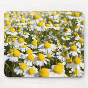 Mousepad Campo de Camomila, Hungria
