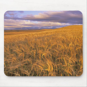 Mousepad Campo de cevada madura ao longo das Rochosas