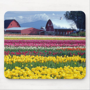 Mousepad Campo de exibição de tulipas
