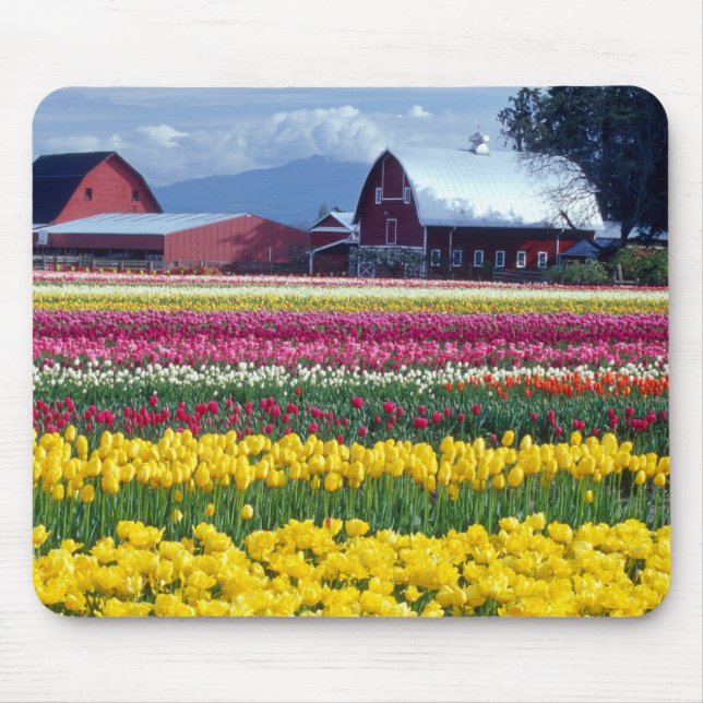 Mousepad Campo de exibição de tulipas (Frente)