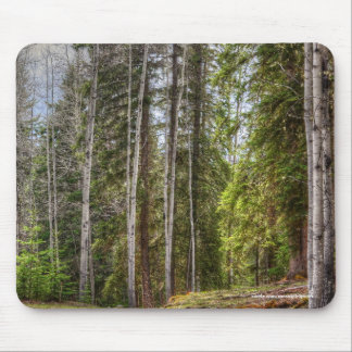 Mousepad Campo de fazenda, Prado, Pastagem, Paddock