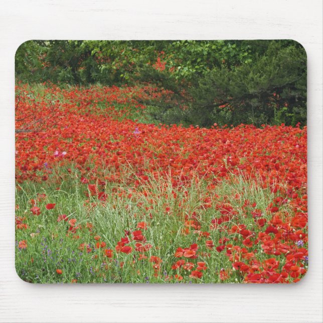 Mousepad Campo de flores de papoula híbrida plantadas ao lo (Frente)