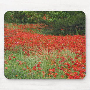 Mousepad Campo de flores híbridas de papoila plantadas ao 