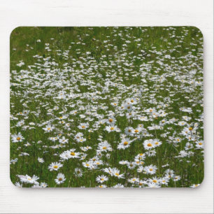 Mousepad Campo de flores silvestres do Alasca da Daisies