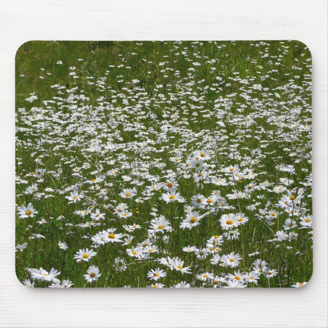 Mousepad Campo de flores silvestres do Alasca da Daisies (Frente)