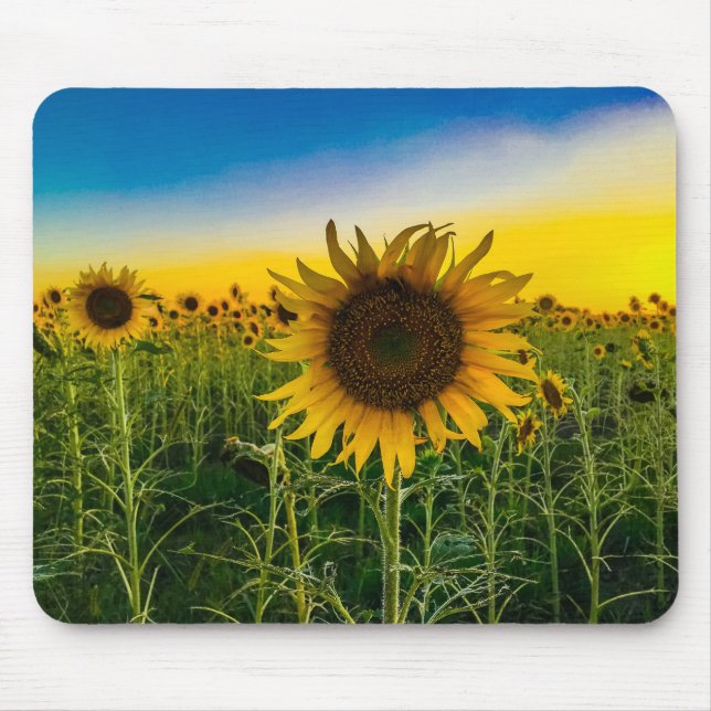 Mousepad Campo de Girassóis do Kansas (Frente)