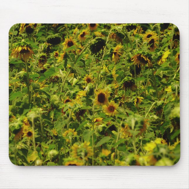 Mousepad Campo de girassol (Frente)