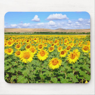 Mousepad Campo de girassol