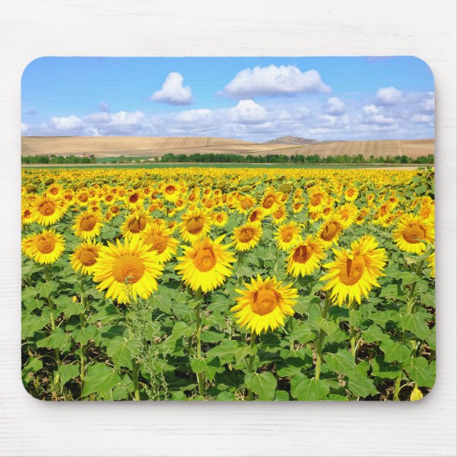 Mousepad Campo de girassol (Frente)