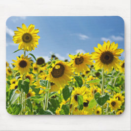 Mousepad Campo de girassol