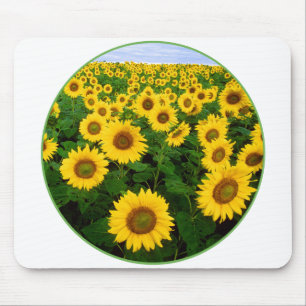 Mousepad Campo de girassol