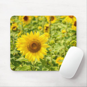 Mousepad Campo de girassol amarelo