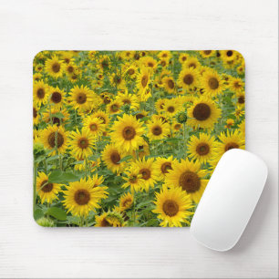 Mousepad Campo de girassol amarelo