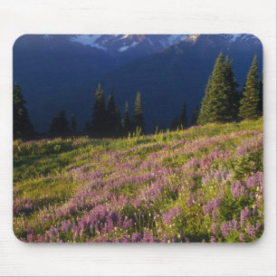 Mousepad Campo de lupino, Mt. Olympus, e nuvens em