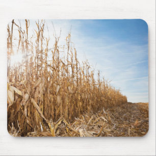 Mousepad Campo de milho em parte colhido