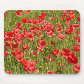 Mousepad Campo de papoila.