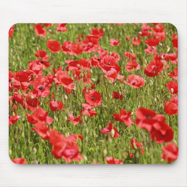 Mousepad Campo de papoila. (Frente)