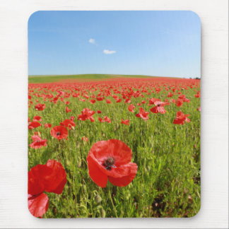 Mousepad Campo de papoila.