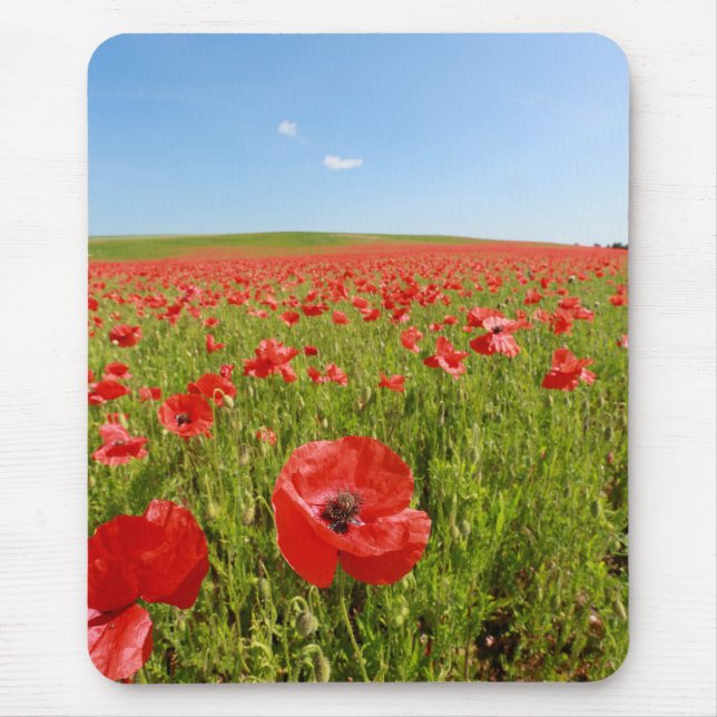 Mousepad Campo de papoila. (Frente)