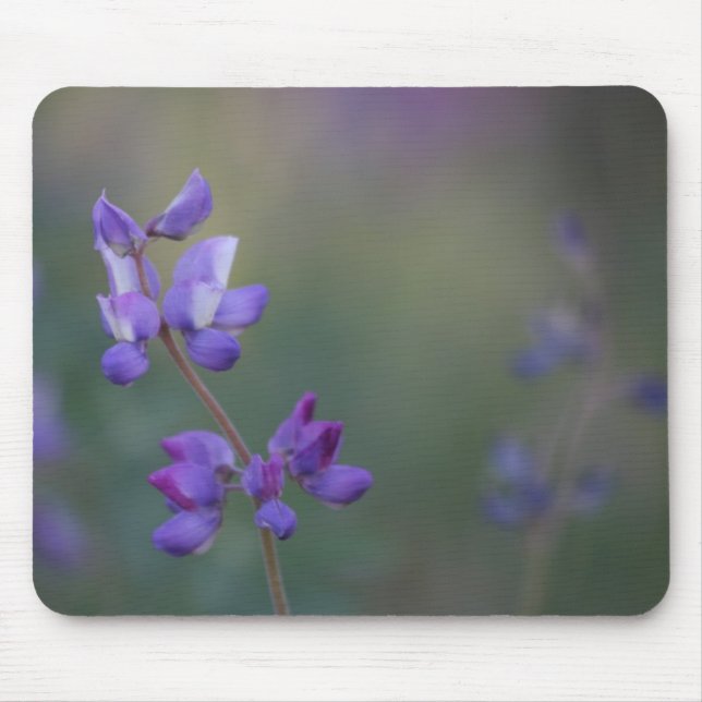 Mousepad Campo de Tremoço (Frente)